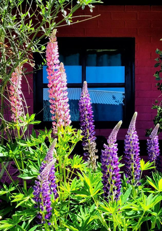 Lago Argentino Hostel El Calafate Exterior photo