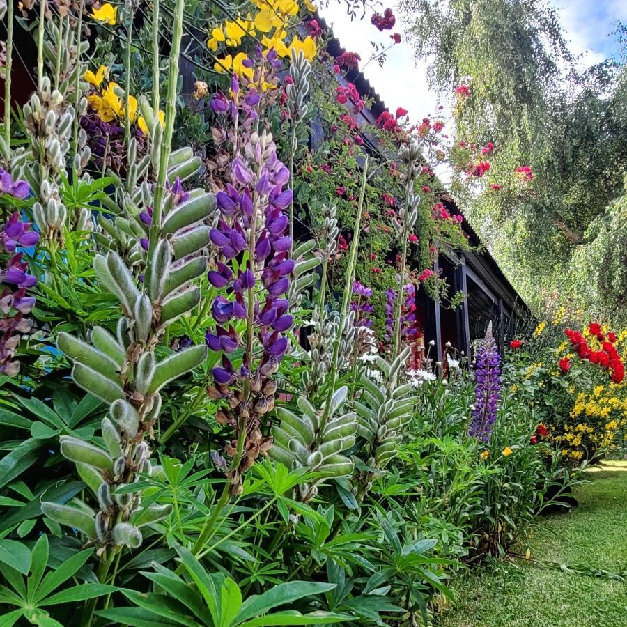 Lago Argentino Hostel El Calafate Exterior photo